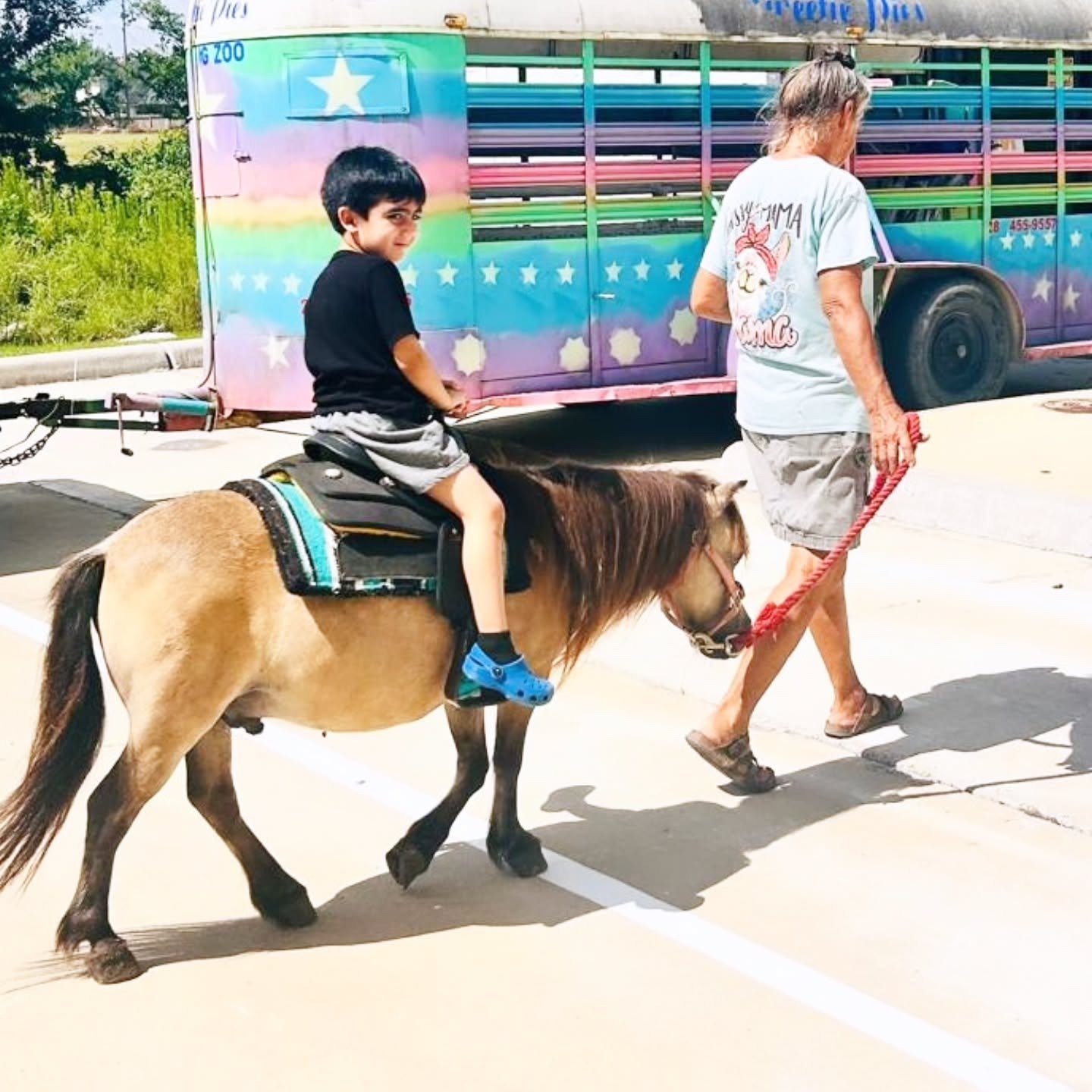 Supervised pony activity at Starz R Us